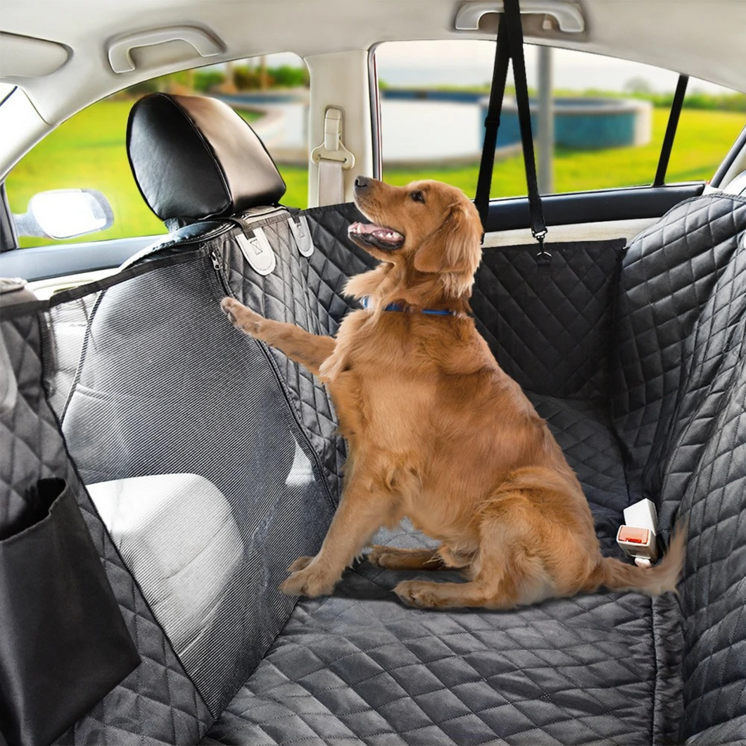 PauliTravel – der Rücksitzschutz für Hunde mit Anschnallgurt