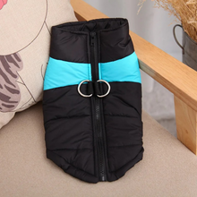 Lade das Bild in den Galerie-Viewer, PauliCoat – Wasserdichte Hundeweste / Hundejacke warm &amp; weich
