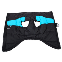 Lade das Bild in den Galerie-Viewer, PauliCoat – Wasserdichte Hundeweste / Hundejacke warm &amp; weich
