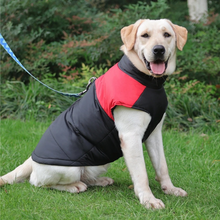 Lade das Bild in den Galerie-Viewer, PauliCoat – Wasserdichte Hundeweste / Hundejacke warm &amp; weich
