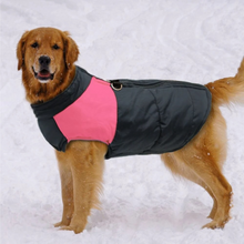 Lade das Bild in den Galerie-Viewer, PauliCoat – Wasserdichte Hundeweste / Hundejacke warm &amp; weich
