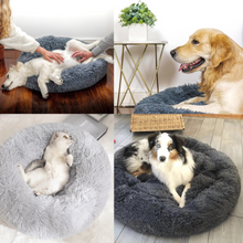 Lade das Bild in den Galerie-Viewer, PauliDream Tierbett – Ein Flauschiges Plätzchen zum Träumen
