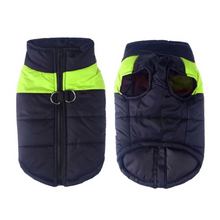 Lade das Bild in den Galerie-Viewer, PauliCoat – Wasserdichte Hundeweste / Hundejacke warm &amp; weich
