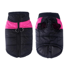 Lade das Bild in den Galerie-Viewer, PauliCoat – Wasserdichte Hundeweste / Hundejacke warm &amp; weich

