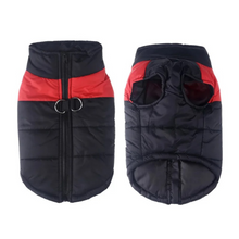 Lade das Bild in den Galerie-Viewer, PauliCoat – Wasserdichte Hundeweste / Hundejacke warm &amp; weich
